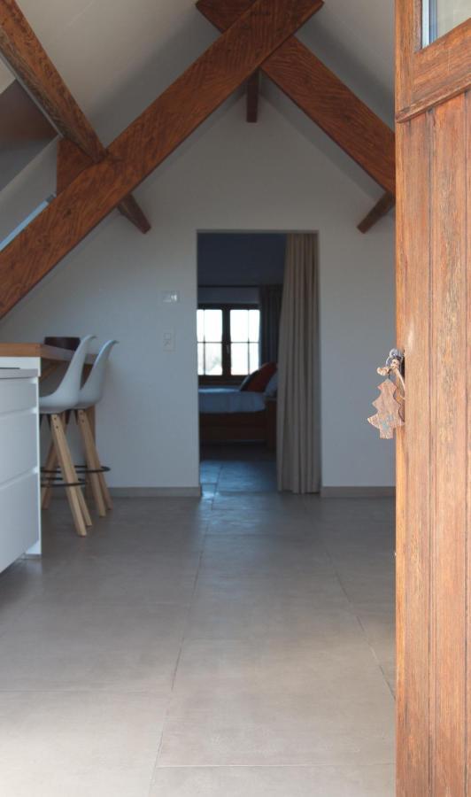 De Heide, Cozy Apartment With Separate Entrance Kampenhout Εξωτερικό φωτογραφία